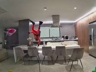 voyeurcam-casa-salsa-fishtank