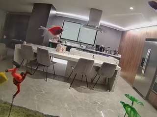 voyeurcam-casa-salsa-fishtank Public Chat Channel, camsoda