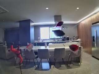 voyeurcam-casa-salsa-fishtank