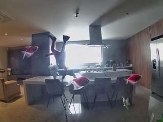 voyeurcam-casa-salsa-fishtank