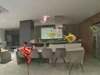 voyeurcam-casa-salsa-fishtank