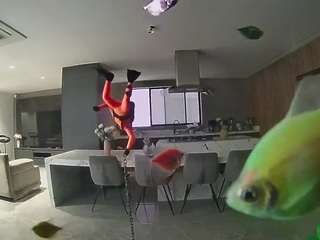 voyeurcam-casa-salsa-fishtank