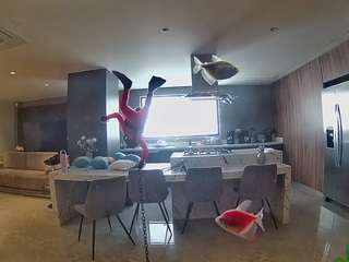 voyeurcam-casa-salsa-fishtank