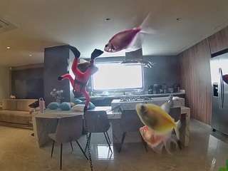 voyeurcam-casa-salsa-fishtank