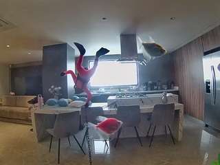 voyeurcam-casa-salsa-fishtank