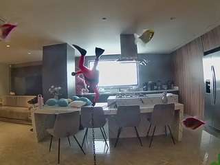 voyeurcam-casa-salsa-fishtank