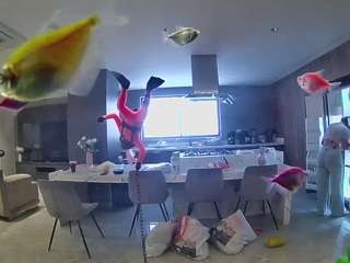voyeurcam-casa-salsa-fishtank