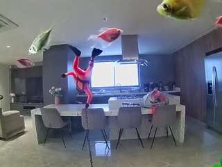 voyeurcam-casa-salsa-fishtank