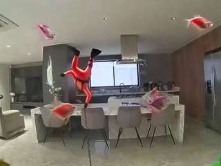 voyeurcam-casa-salsa-fishtank