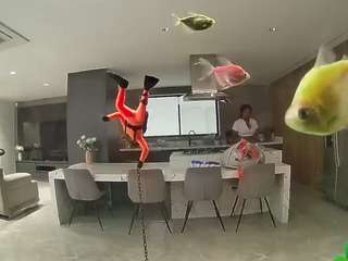 voyeurcam-casa-salsa-fishtank