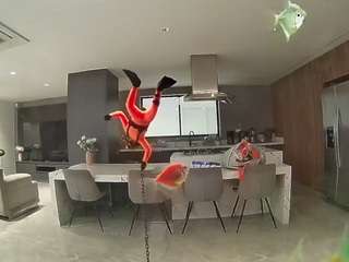 voyeurcam-casa-salsa-fishtank