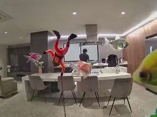 voyeurcam-casa-salsa-fishtank