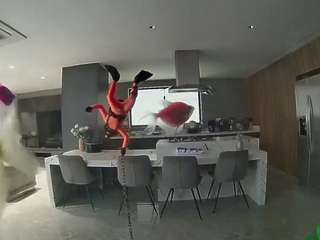 voyeurcam-casa-salsa-fishtank