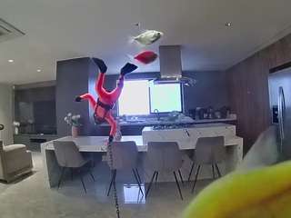 voyeurcam-casa-salsa-fishtank