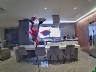 voyeurcam-casa-salsa-fishtank