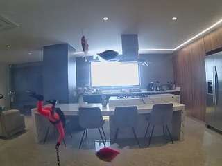 voyeurcam-casa-salsa-fishtank
