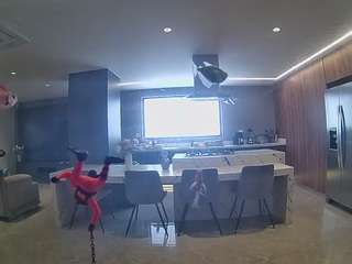 voyeurcam-casa-salsa-fishtank