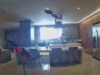 voyeurcam-casa-salsa-fishtank