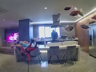 voyeurcam-casa-salsa-fishtank