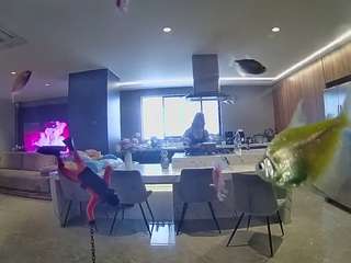 voyeurcam-casa-salsa-fishtank