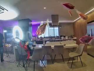 voyeurcam-casa-salsa-fishtank