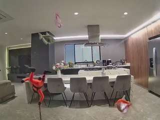 voyeurcam-casa-salsa-fishtank