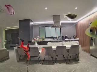 voyeurcam-casa-salsa-fishtank