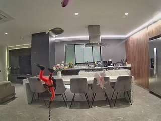 voyeurcam-casa-salsa-fishtank