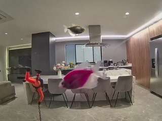 voyeurcam-casa-salsa-fishtank