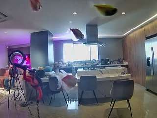voyeurcam-casa-salsa-fishtank