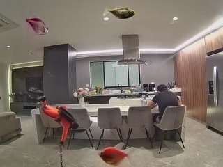 voyeurcam-casa-salsa-fishtank