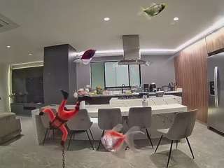 voyeurcam-casa-salsa-fishtank