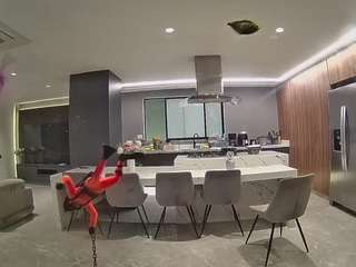 voyeurcam-casa-salsa-fishtank