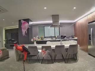voyeurcam-casa-salsa-fishtank