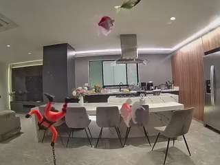 voyeurcam-casa-salsa-fishtank