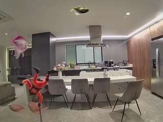 voyeurcam-casa-salsa-fishtank