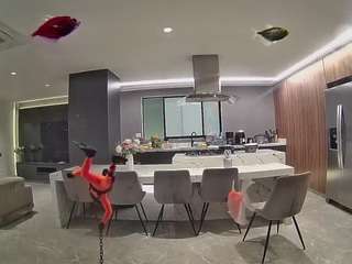 voyeurcam-casa-salsa-fishtank