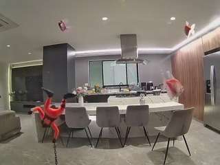 voyeurcam-casa-salsa-fishtank