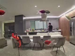 voyeurcam-casa-salsa-fishtank