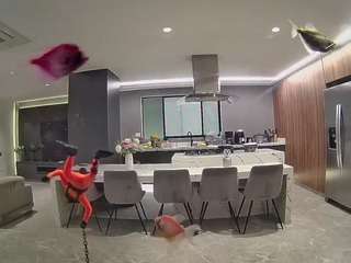 voyeurcam-casa-salsa-fishtank