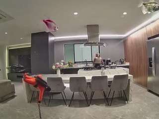 voyeurcam-casa-salsa-fishtank