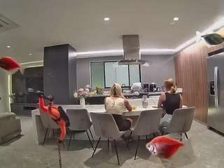 voyeurcam-casa-salsa-fishtank
