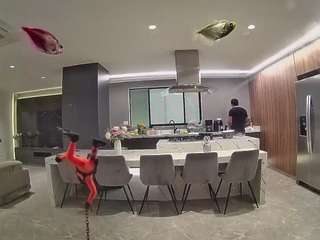 voyeurcam-casa-salsa-fishtank