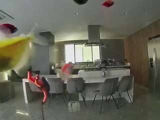 voyeurcam-casa-salsa-fishtank