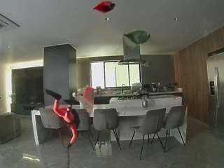 voyeurcam-casa-salsa-fishtank