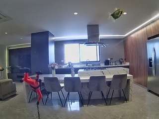 voyeurcam-casa-salsa-fishtank