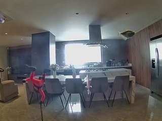 voyeurcam-casa-salsa-fishtank