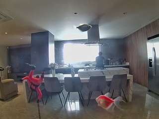voyeurcam-casa-salsa-fishtank