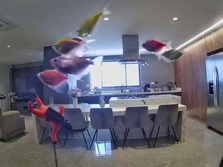 voyeurcam-casa-salsa-fishtank