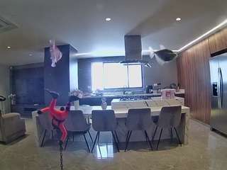 voyeurcam-casa-salsa-fishtank